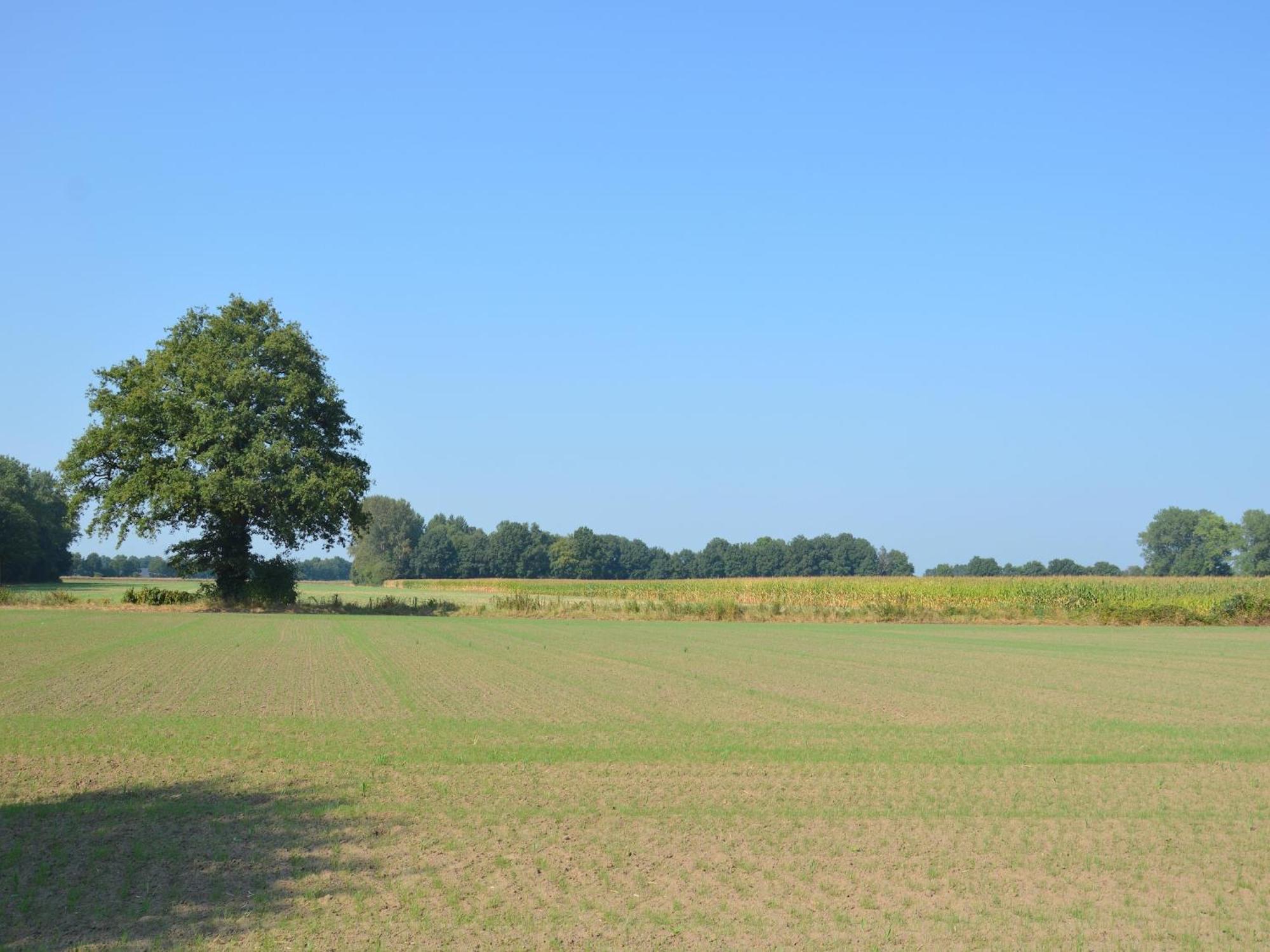 Quaint Farmhouse In Geesteren With Meadow View Zewnętrze zdjęcie