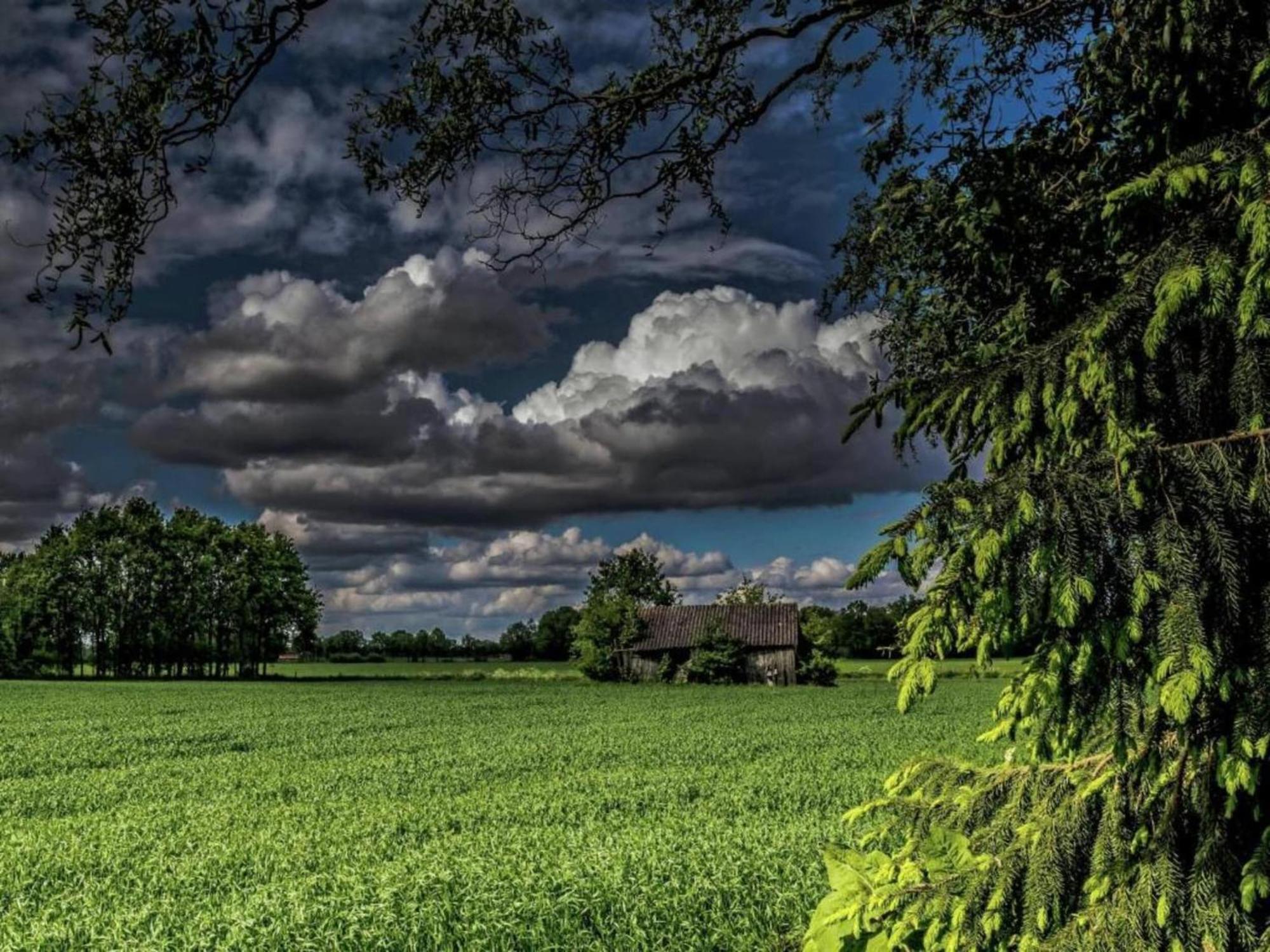 Quaint Farmhouse In Geesteren With Meadow View Zewnętrze zdjęcie